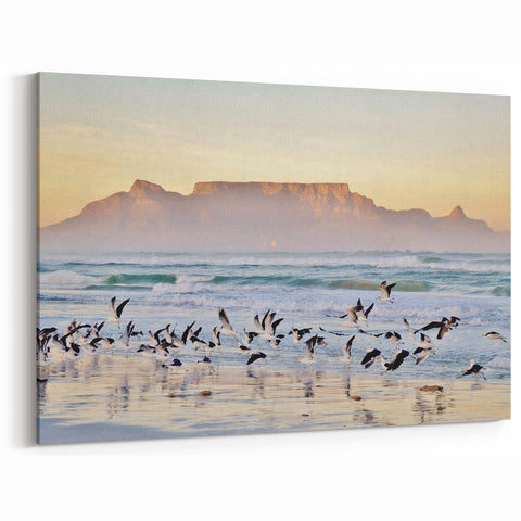 South Africa Wall Art - Cape Town Canvas of Table Mountain and Seagulls