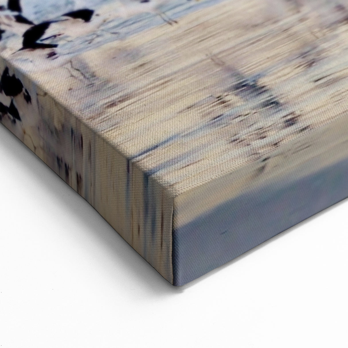 South Africa Wall Art - Cape Town Canvas of Table Mountain and Seagulls