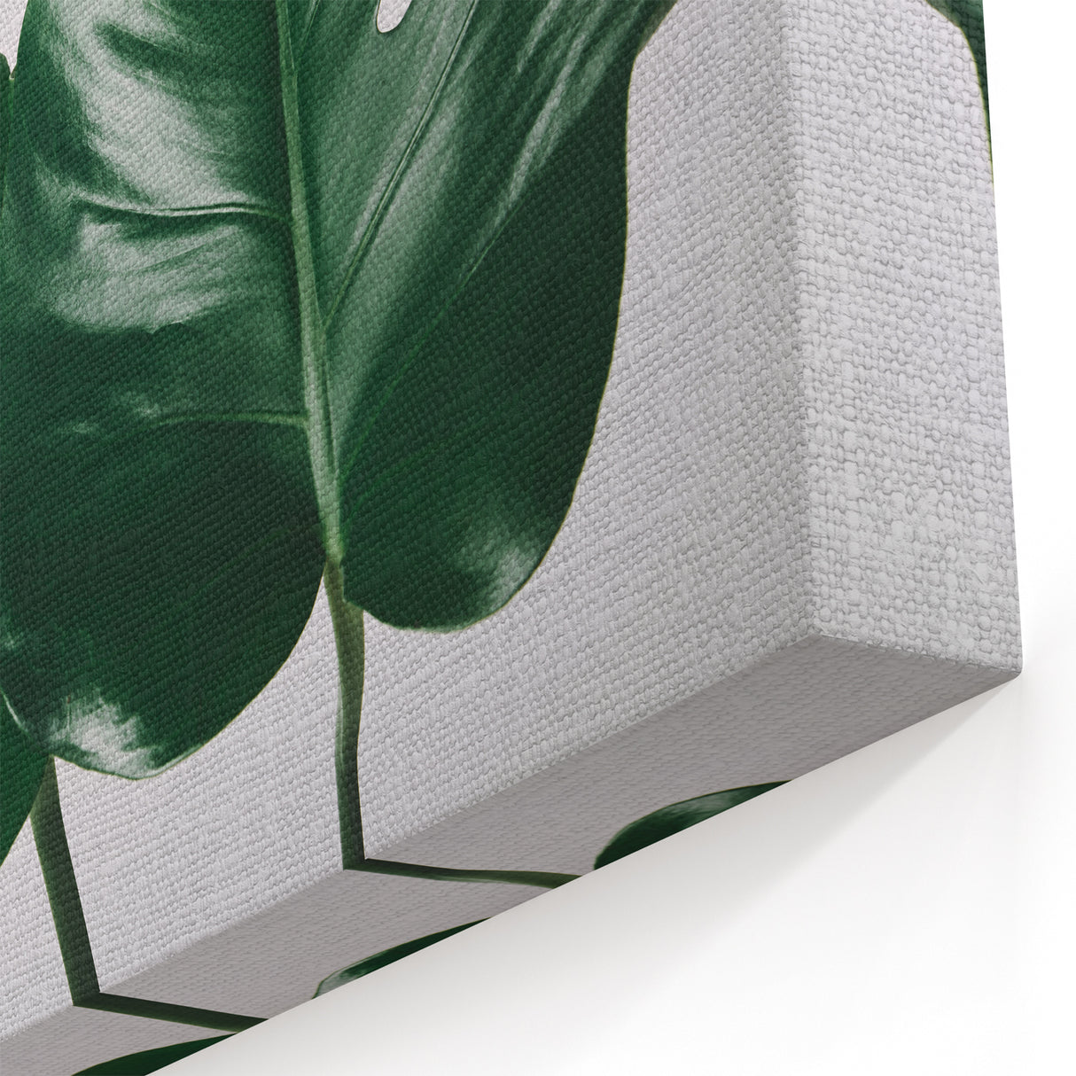 Monstera Leaf Wall Art - Botanical Canvas Print for Modern Tropical Decor