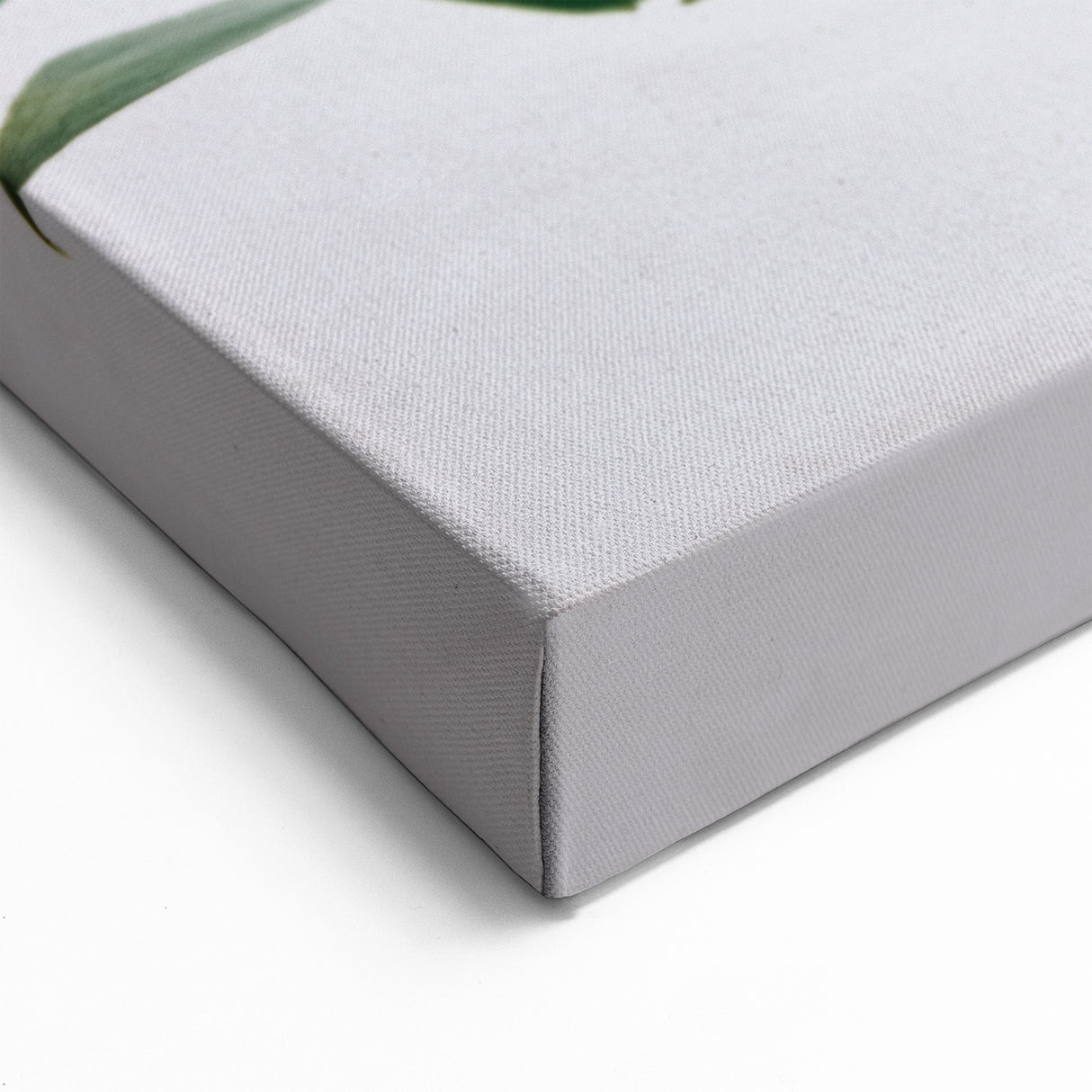 Monstera Leaf Wall Art - Botanical Canvas Print for Modern Tropical Decor