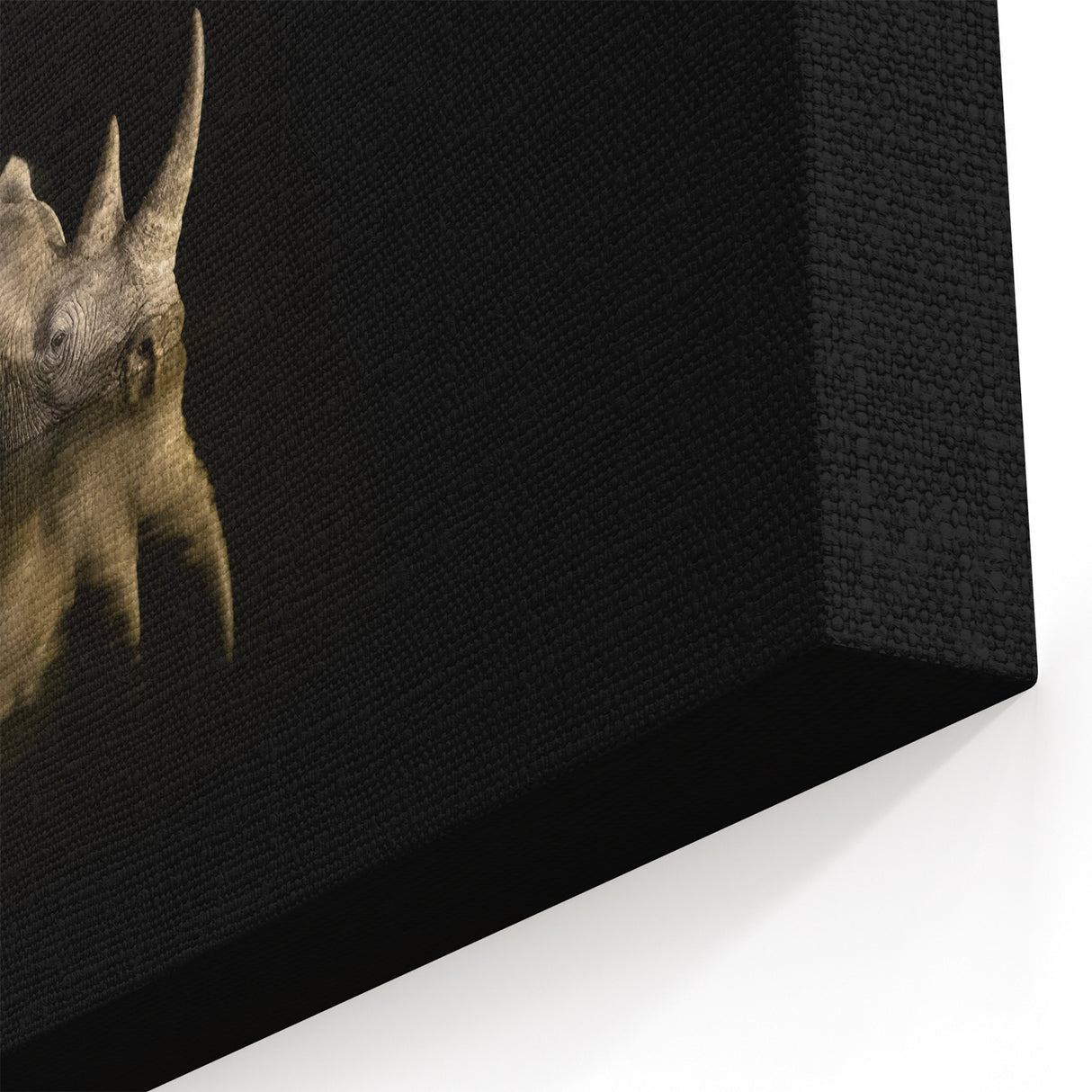 South African Wildlife Art - Majestic Rhino at Night in Low Light