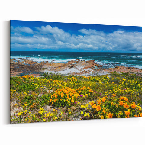 South African Coastal Art - Vibrant Flowers and Ocean Waves Scene