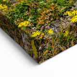 South African Coastal Art - Vibrant Flowers and Ocean Waves Scene