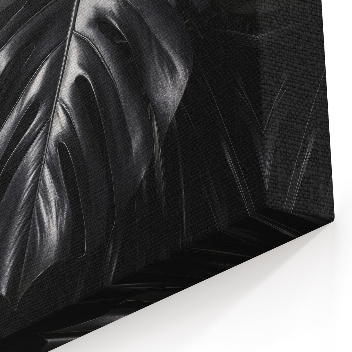 Modern Monochrome Monstera Leaf Wall Art - Minimalist Botanical Decor