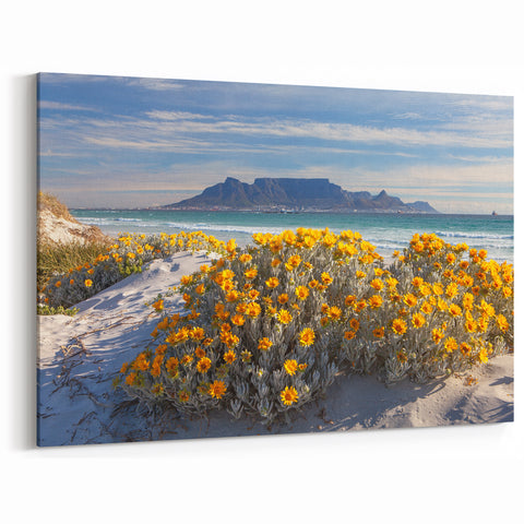 Cape Town Canvas Art - Beach Flowers with Table Mountain View