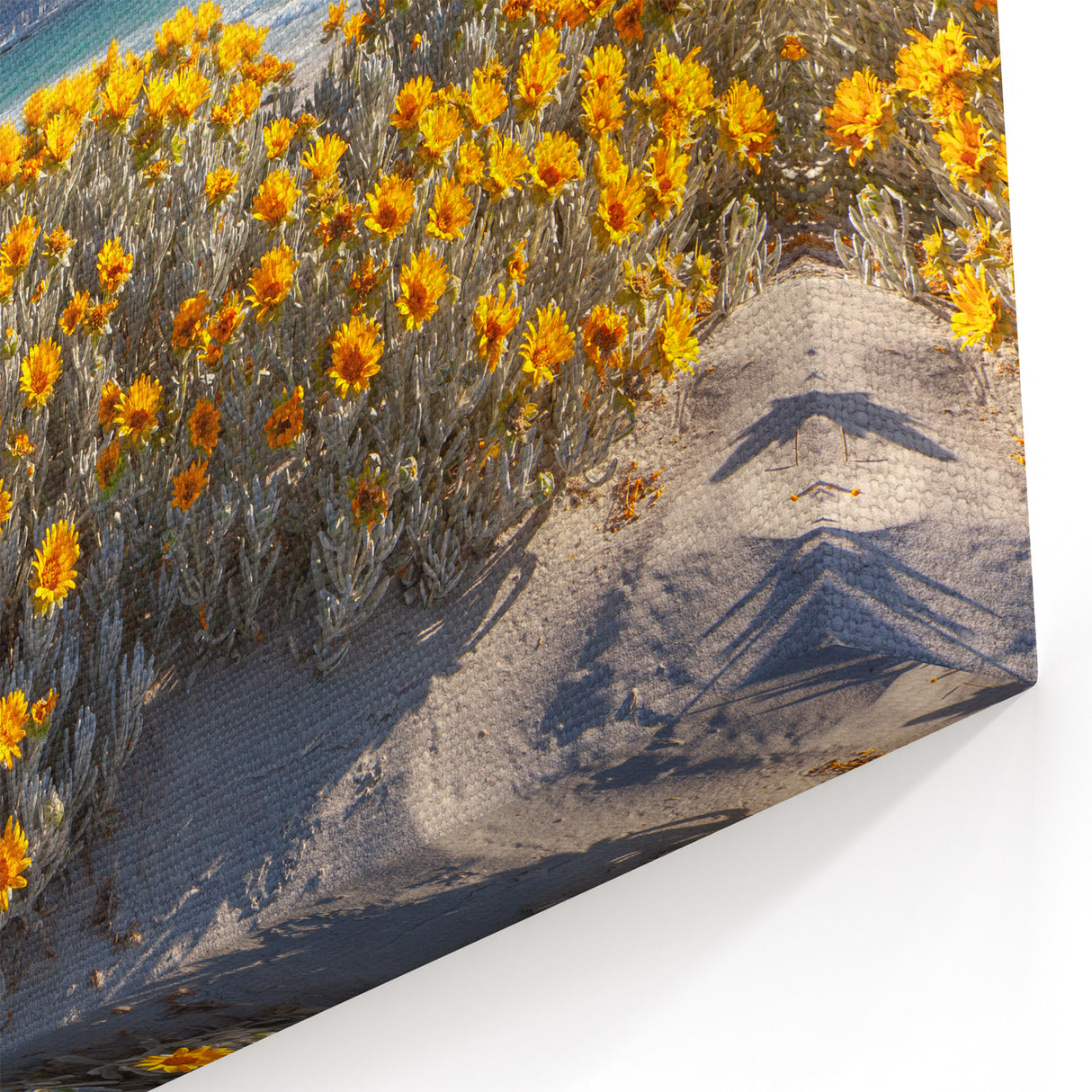 Cape Town Canvas Art - Beach Flowers with Table Mountain View