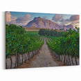 South African Landscape Prints - Vineyard with Mountain Backdrop