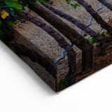 South African Landscape Prints - Vineyard with Mountain Backdrop