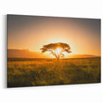 African Safari Art - Lone Tree at Sunset in Golden Savanna