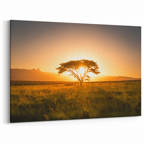 African Safari Art - Lone Tree at Sunset in Golden Savanna