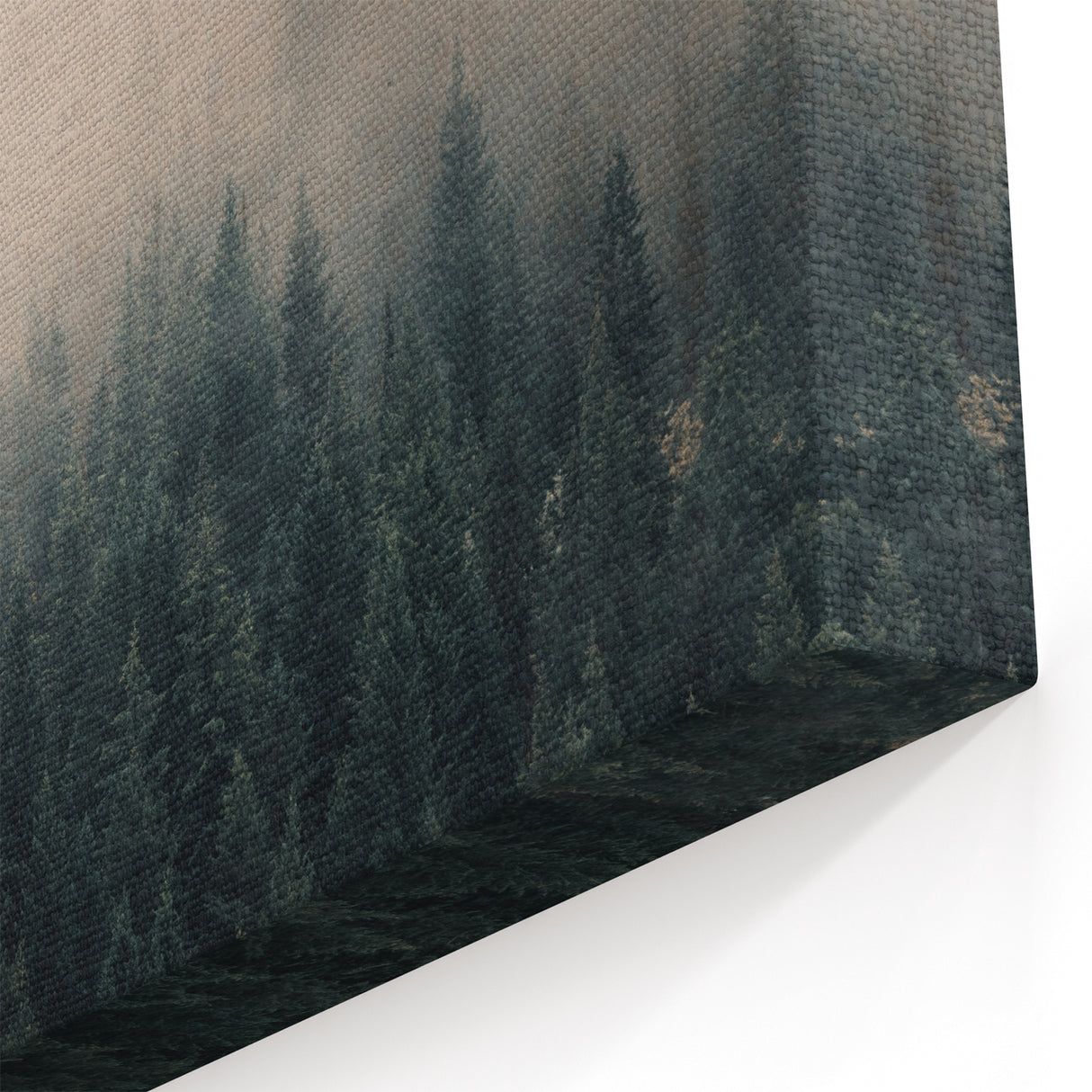 Misty Forest Wall Art – British Columbia’s Enchanting Wilderness Scene