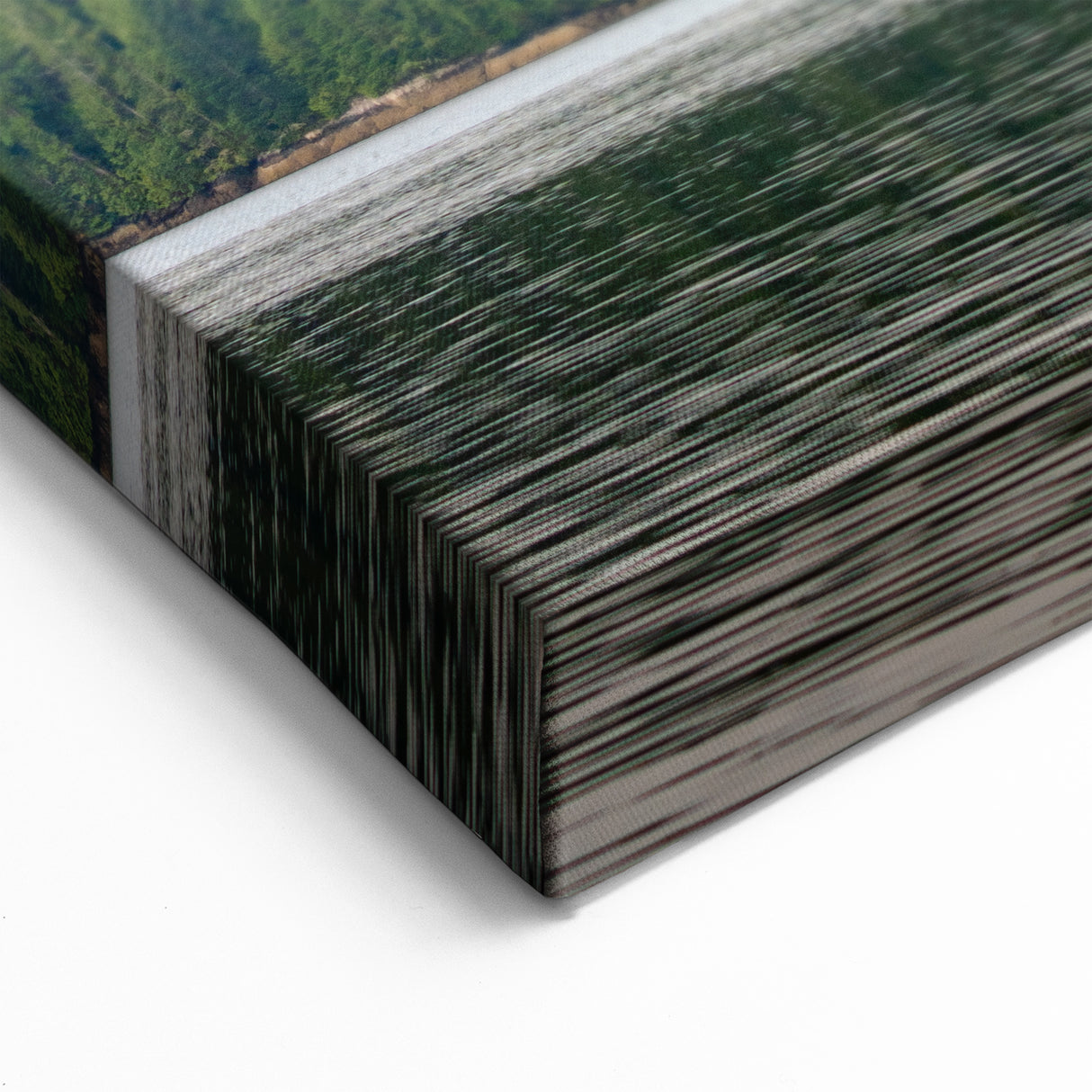 Misty Forest Lake Art – British Columbia’s Tranquil Wilderness Scene