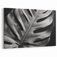 Monochrome Monstera Leaf Wall Art - Bold Minimalist Botanical Decor