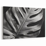 Monochrome Monstera Leaf Wall Art - Bold Minimalist Botanical Decor