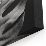 Monochrome Monstera Leaf Wall Art - Bold Minimalist Botanical Decor