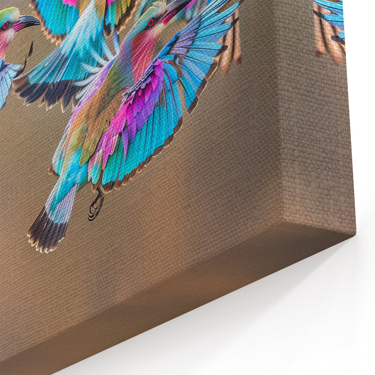 Colorful African Bird Wall Art – Wildlife Photography Canvas Print