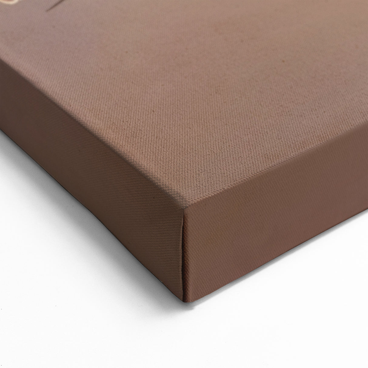 Colorful African Bird Wall Art – Wildlife Photography Canvas Print