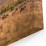 Ngorongoro Wildlife Art - Grazing Zebras and Wildebeests Canvas Print
