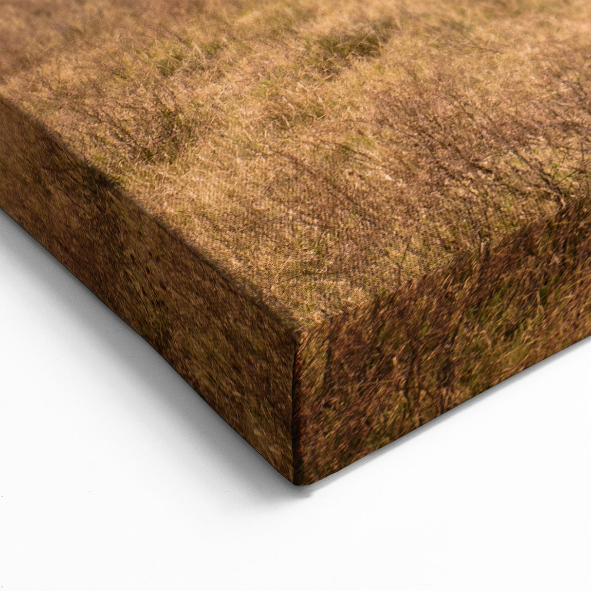 Ngorongoro Wildlife Art - Grazing Zebras and Wildebeests Canvas Print