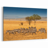 Serengeti Zebras Wall Art - African Wildlife in Golden Plains Canvas Print
