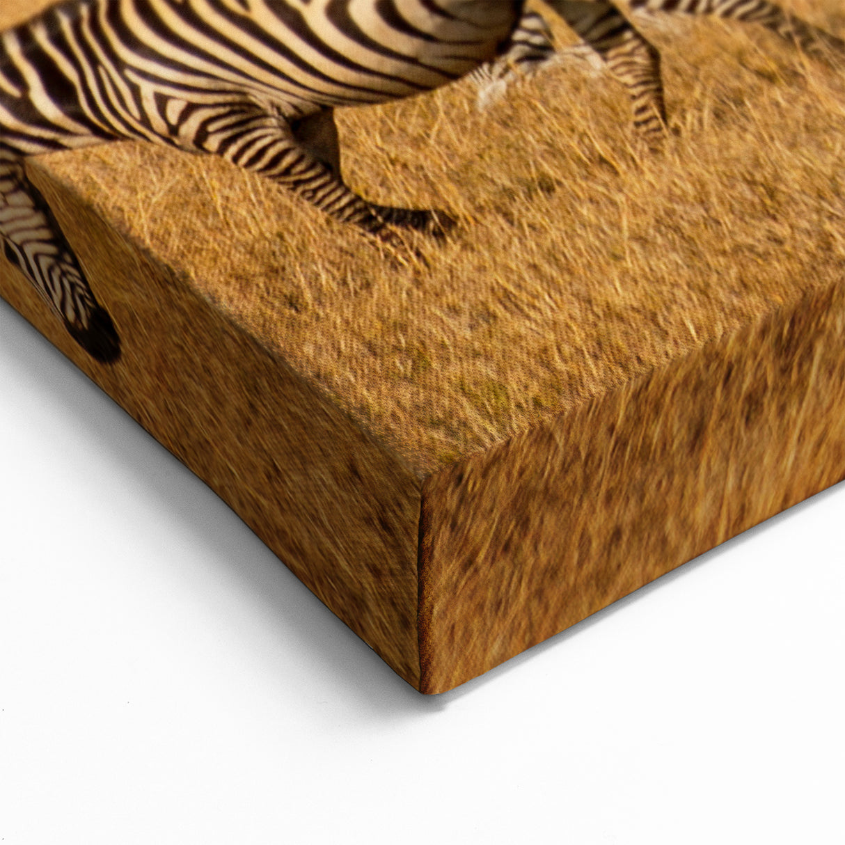 Serengeti Zebras Wall Art - African Wildlife in Golden Plains Canvas Print