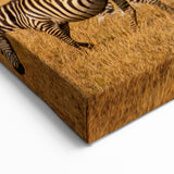 Serengeti Zebras Wall Art - African Wildlife in Golden Plains Canvas Print