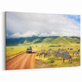 Tanzania Safari Art - Zebras Grazing in Ngorongoro Crater Canvas Print