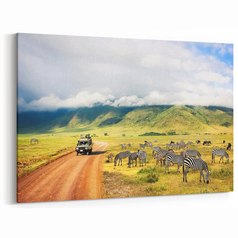Tanzania Safari Art - Zebras Grazing in Ngorongoro Crater Canvas Print