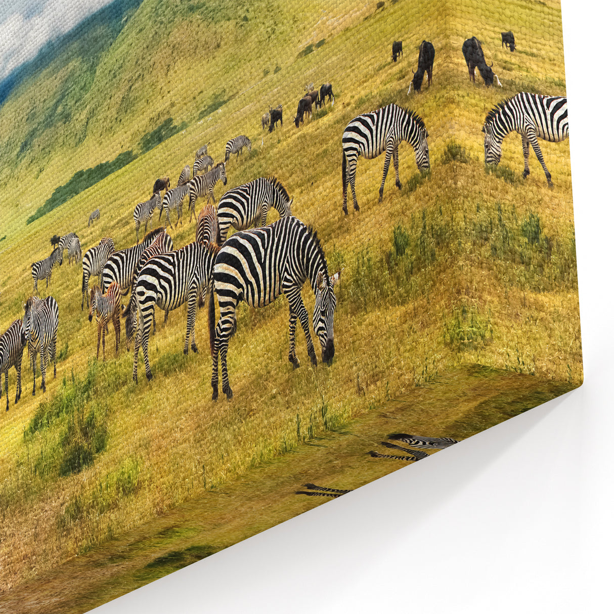 Tanzania Safari Art - Zebras Grazing in Ngorongoro Crater Canvas Print
