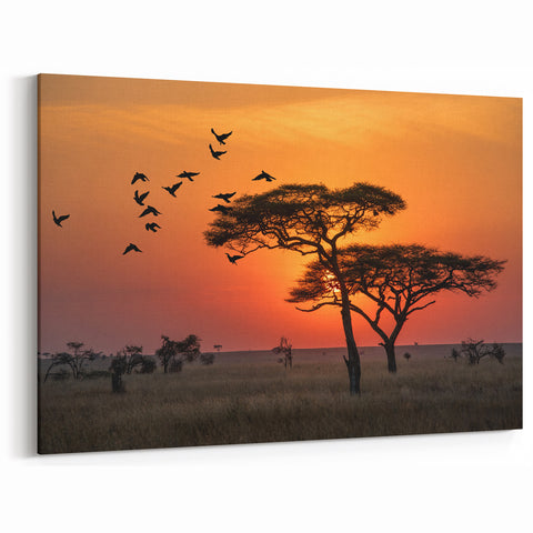 Tanzania Sunset Art - Birds in Flight Over African Trees Canvas Print