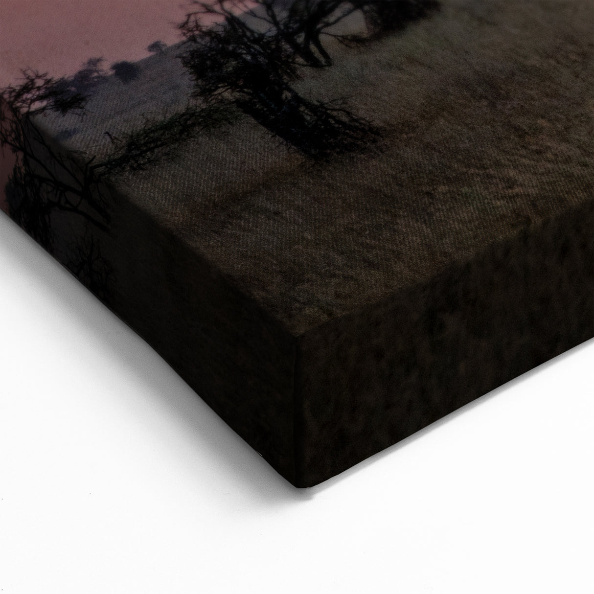 Tanzania Sunset Art - Birds in Flight Over African Trees Canvas Print