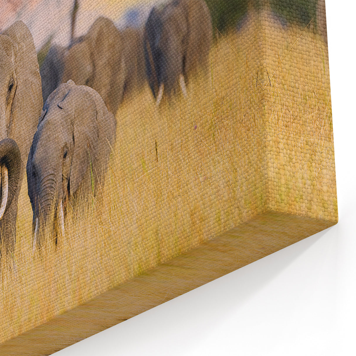 Elephants at Sunset - Majestic African Wildlife in Serengeti Canvas Print