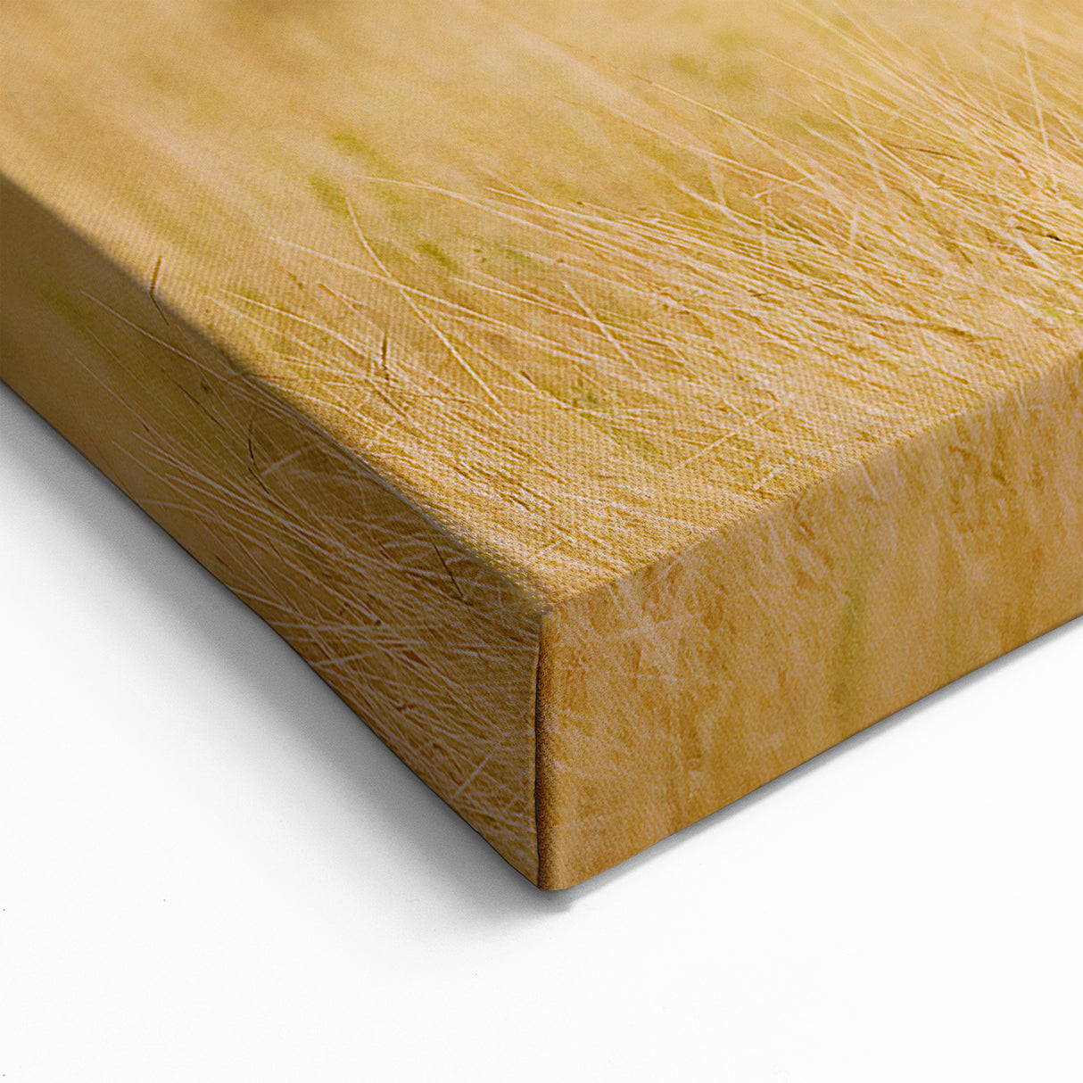 Elephants at Sunset - Majestic African Wildlife in Serengeti Canvas Print