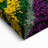 Colorful Tulip Field Art – British Columbia’s Vibrant Spring Landscape