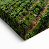 Vineyard by the Lake – British Columbia Vineyard Wall Art
