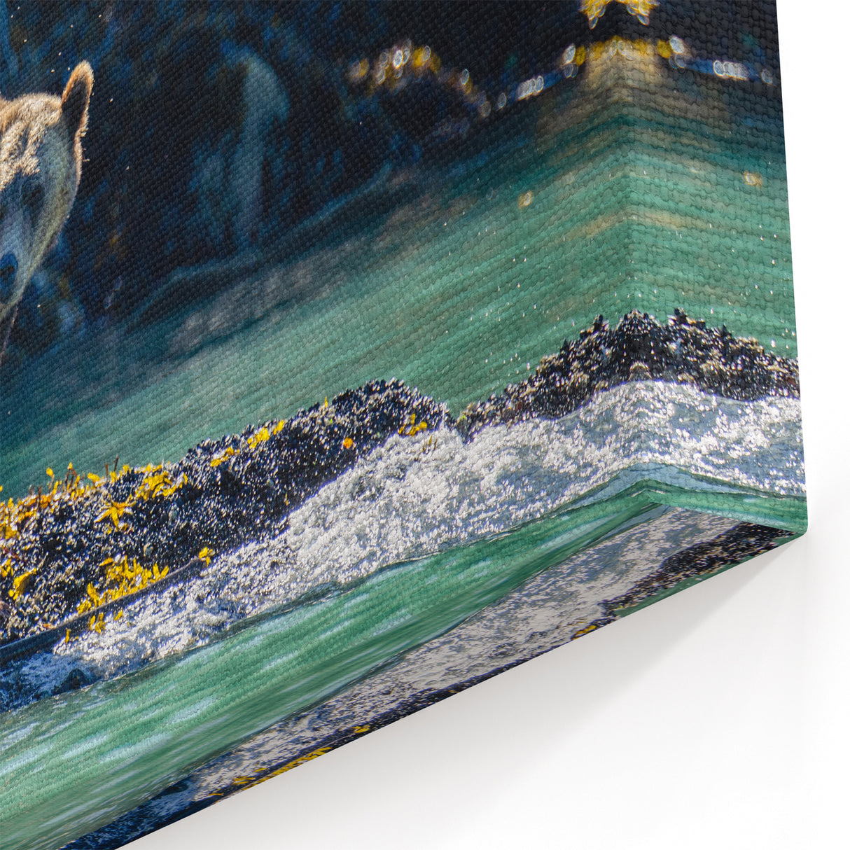 Wildlife Bear Photography – British Columbia’s Majestic Coastal Wilderness