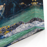 Wildlife Bear Photography – British Columbia’s Majestic Coastal Wilderness