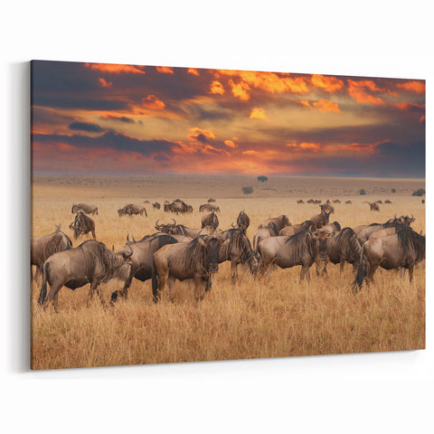 Wildebeest Migration Wall Art - African Wildlife Print for Home Decor