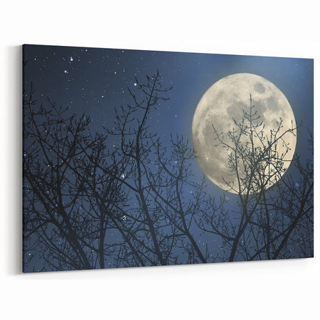 Stunning Moonlit Night Canvas – Celestial Decor with Lunar Phases