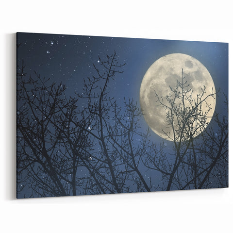Stunning Moonlit Night Canvas – Celestial Decor with Lunar Phases