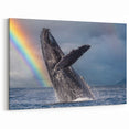 Majestic Whale Breach with Rainbow - Cabo San Lucas Ocean Wall Art