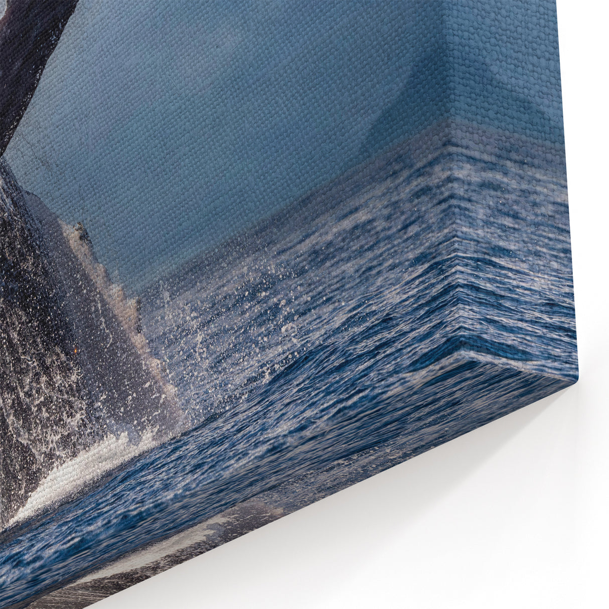 Majestic Whale Breach with Rainbow - Cabo San Lucas Ocean Wall Art