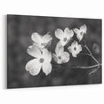 Black and White Botanical Dogwood Wall Art - Nature-Inspired Canvas Print