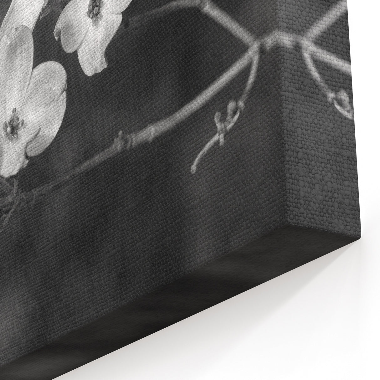 Black and White Botanical Dogwood Wall Art - Nature-Inspired Canvas Print