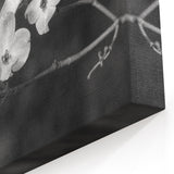 Black and White Botanical Dogwood Wall Art - Nature-Inspired Canvas Print