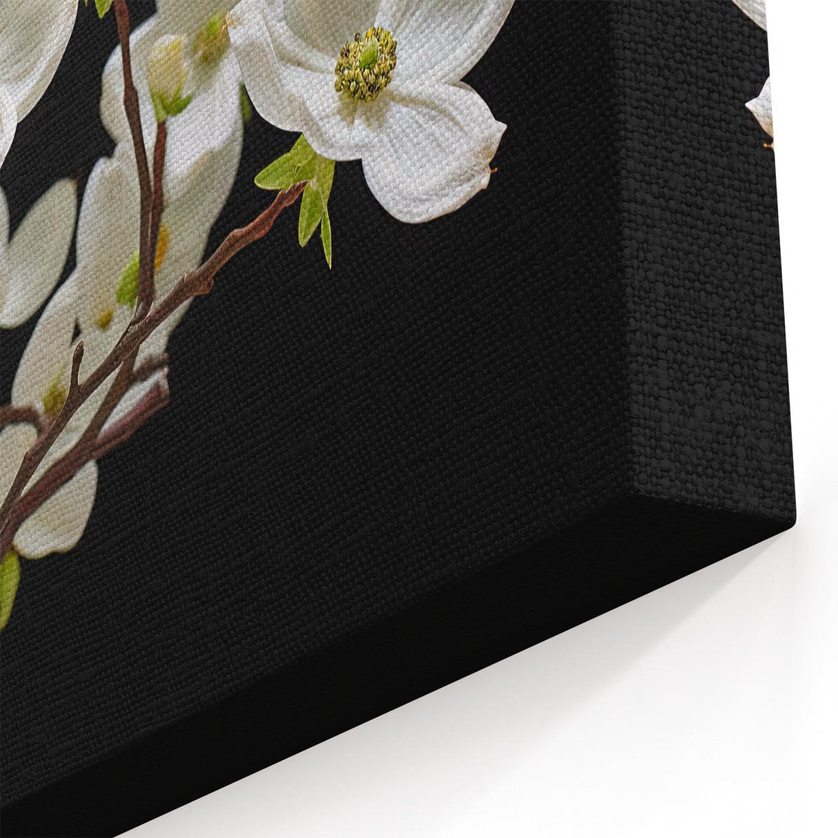 White Dogwood Blossom Wall Art – Elegant Floral Canvas Print