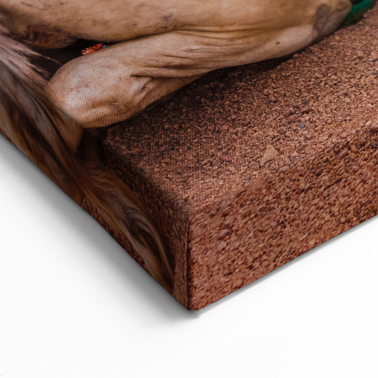 Desert Camels at Sunset Art - Exotic Tunisian Landscape Wall Decor