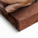 Desert Camels at Sunset Art - Exotic Tunisian Landscape Wall Decor