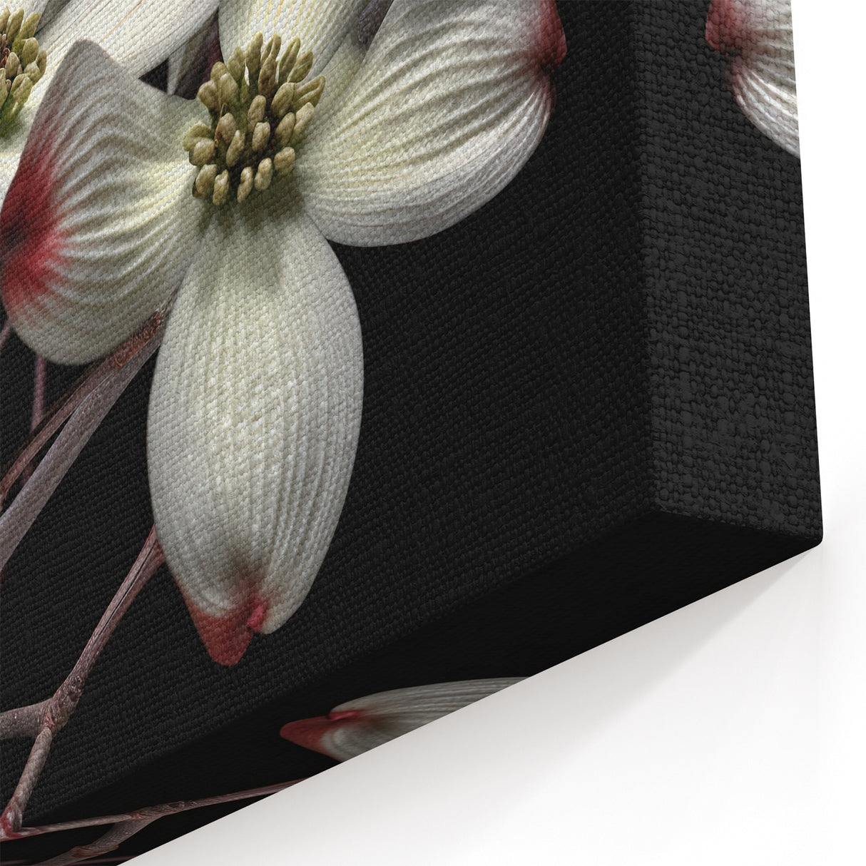 Stunning Dogwood Blossom Wall Art – White and Red Floral Canvas Print