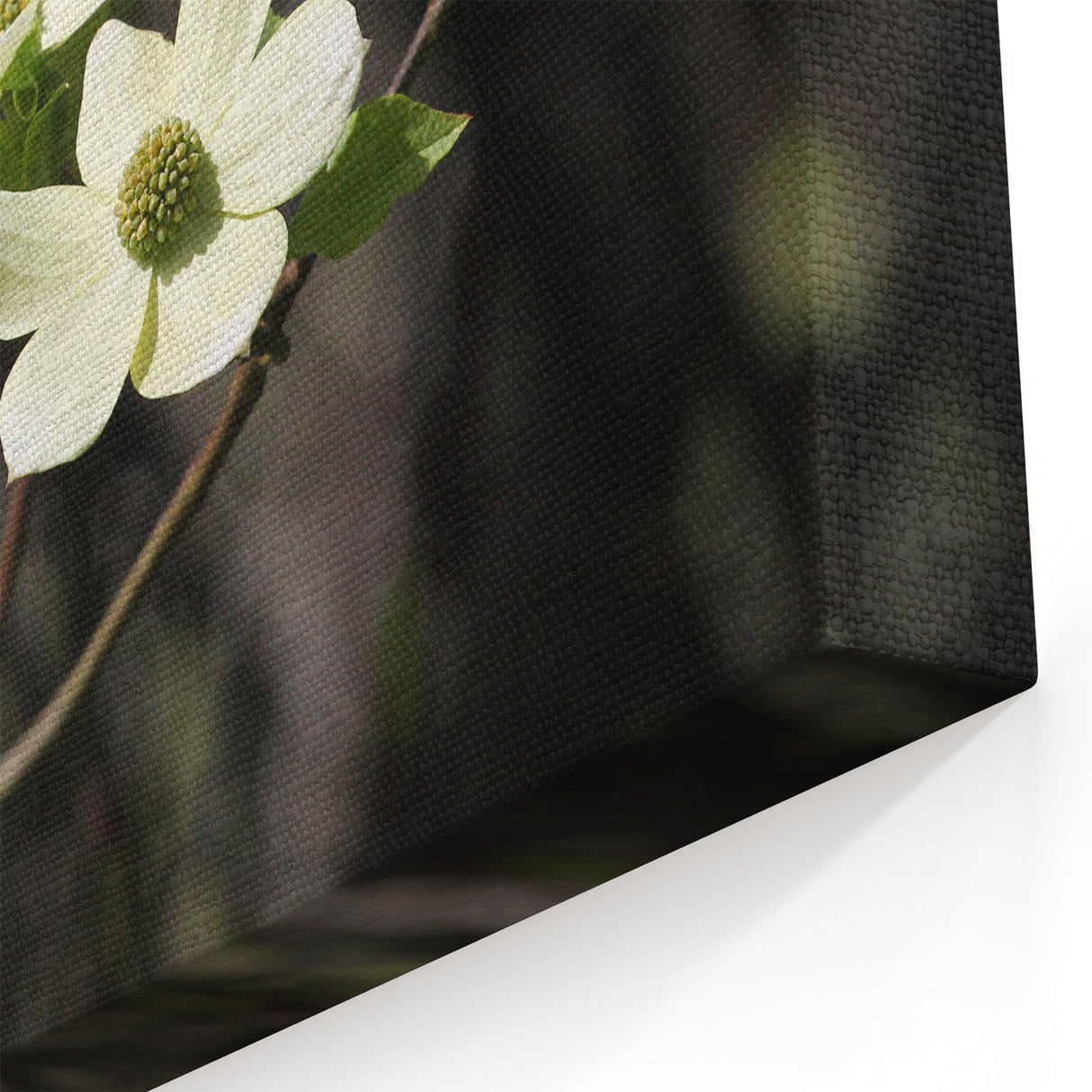 Nature-Inspired Dogwood Blossom Wall Art – Elegant Floral Canvas Print